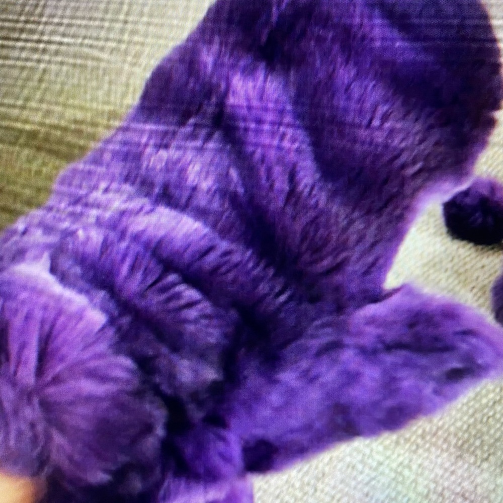 Coach- Rare Fur Mittens